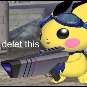 Meet your Posher, Joey